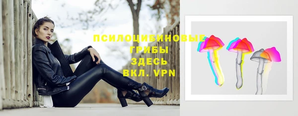 mdpv Богородск