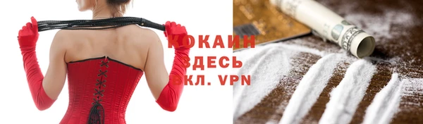 кокс Богородицк